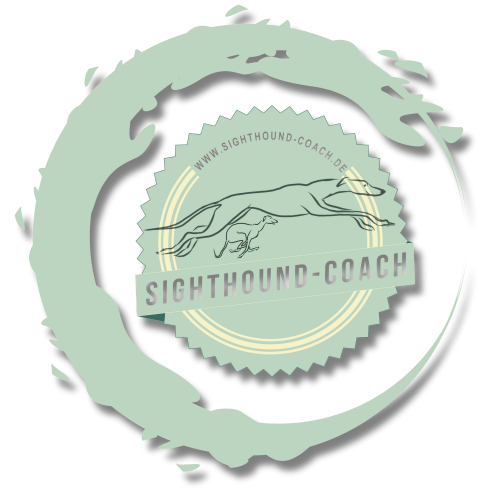 Sighthound Coach Berlin